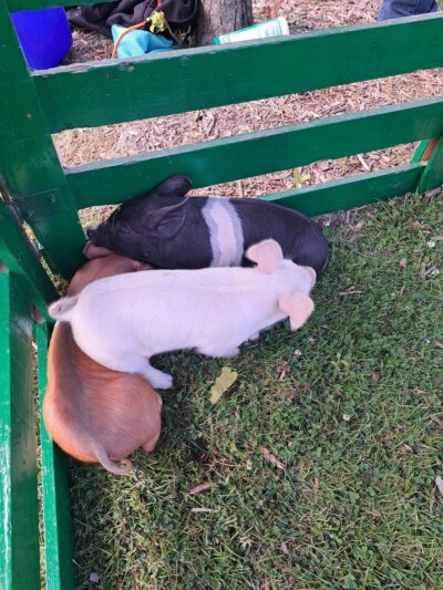 Oakfield Village Park - Oakfield, WI