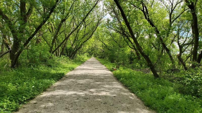 Wild Goose State Trail, Oakfield Trailhead - Oakfield, WI