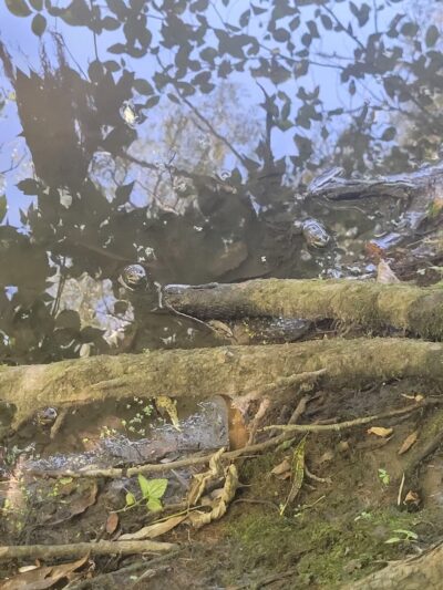 Wild Goose State Trail, Oakfield Trailhead - Oakfield, WI