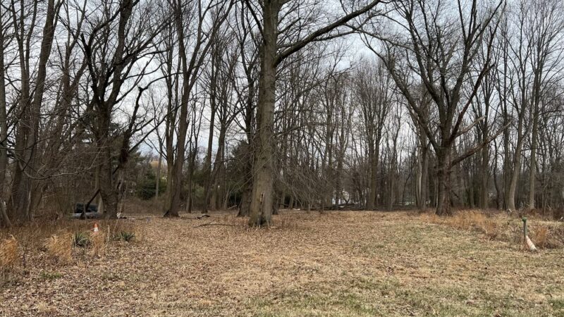 Berrybuns Woods - Oakford, PA