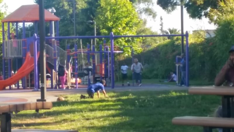 Cesar Chavez Park - Oakland, CA