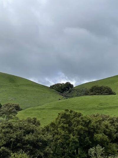 Alameda Creek Regional Trail - Isherwood Staging Area - Oakland, CA