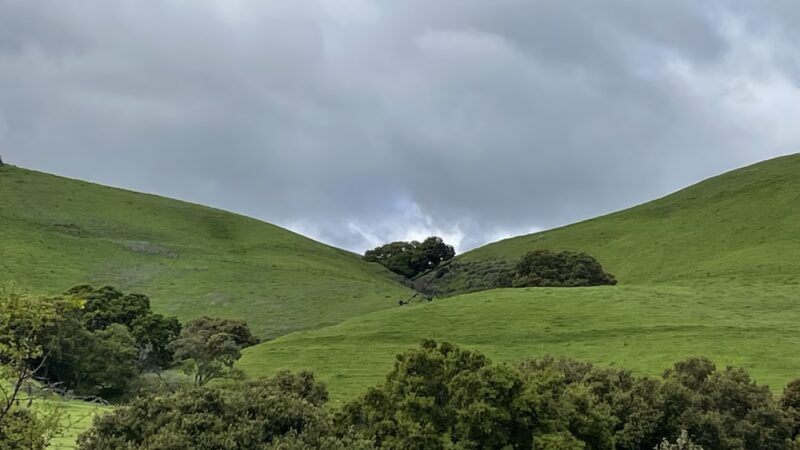 Alameda Creek Regional Trail - Isherwood Staging Area - Oakland, CA