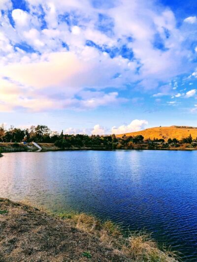 Alameda Creek Regional Trail - Isherwood Staging Area - Oakland, CA
