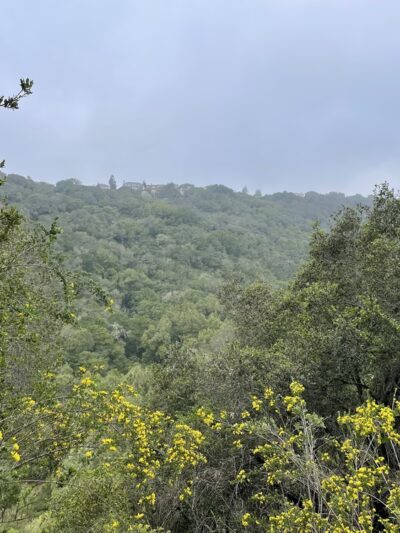 Leona Canyon Trail Head - Oakland, CA