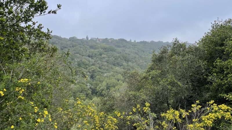 Leona Canyon Trail Head - Oakland, CA