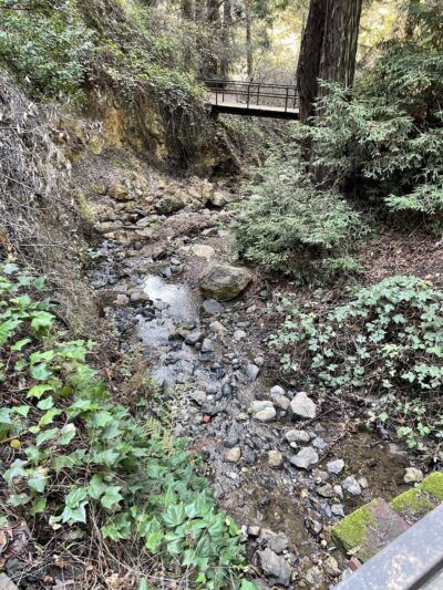 Leona Canyon Trail Head - Oakland, CA