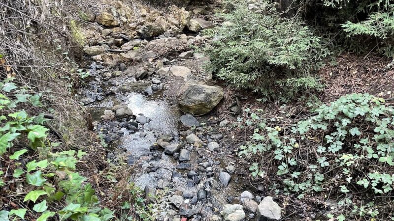 Leona Canyon Trail Head - Oakland, CA