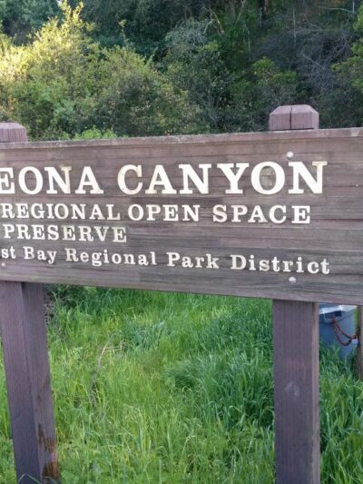 Leona Canyon Trail Head - Oakland, CA