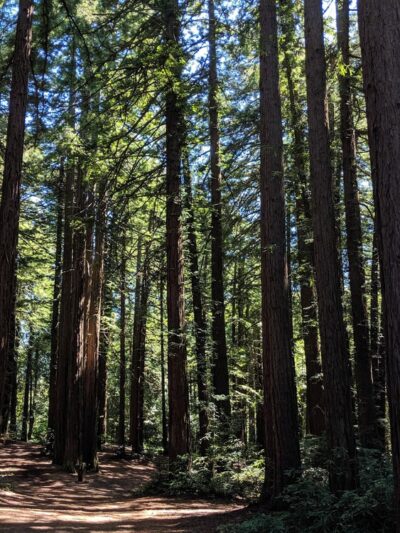 Roberts Regional Recreation Area - Oakland, CA