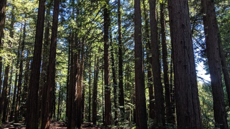 Roberts Regional Recreation Area - Oakland, CA