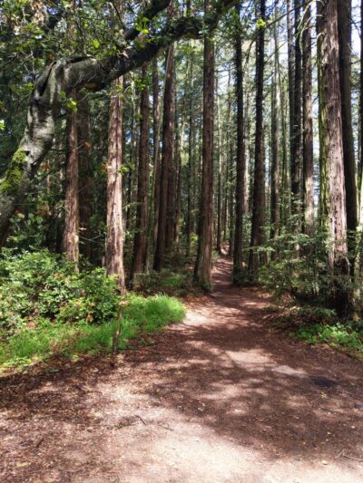 Roberts Regional Recreation Area - Oakland, CA