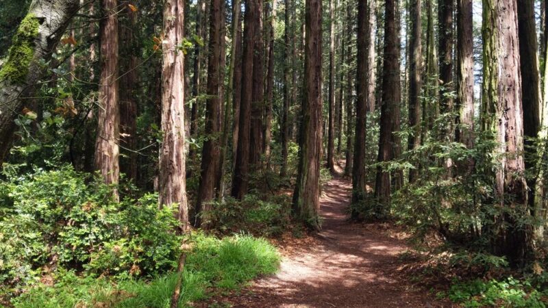 Roberts Regional Recreation Area - Oakland, CA
