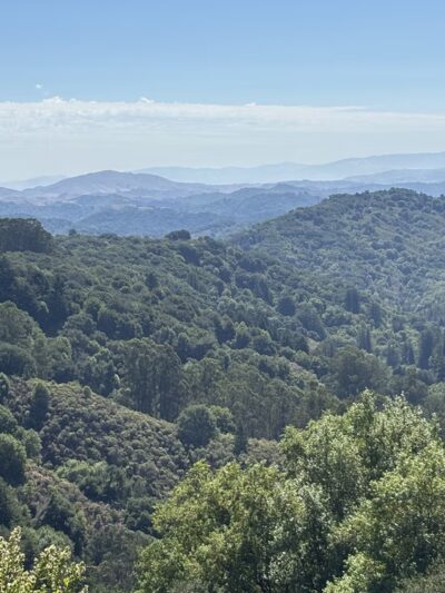 Roberts Regional Recreation Area - Oakland, CA