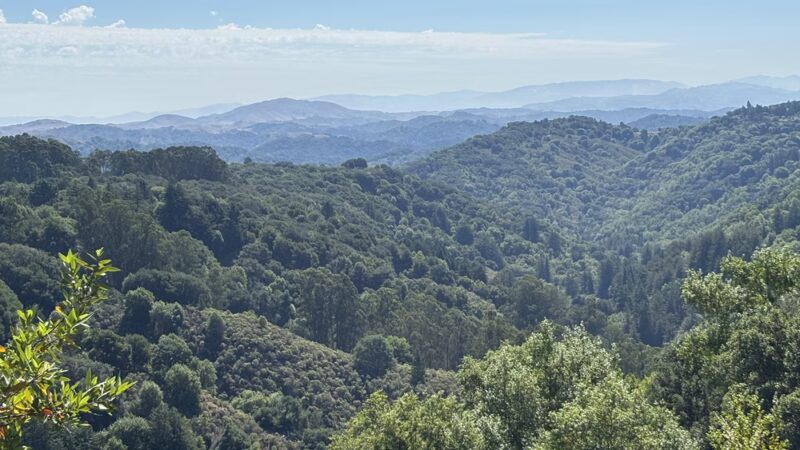 Roberts Regional Recreation Area - Oakland, CA