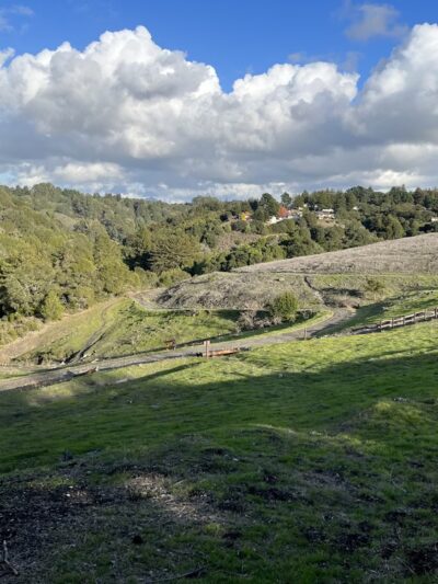 Serpentine Prairie - Oakland, CA