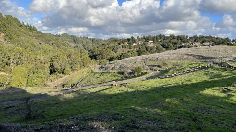Serpentine Prairie - Oakland, CA