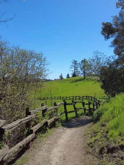 Serpentine Prairie - Oakland, CA