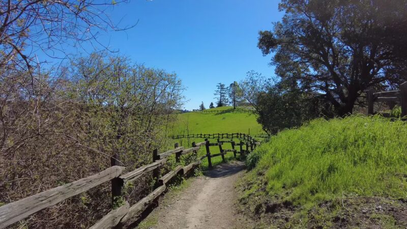 Serpentine Prairie - Oakland, CA