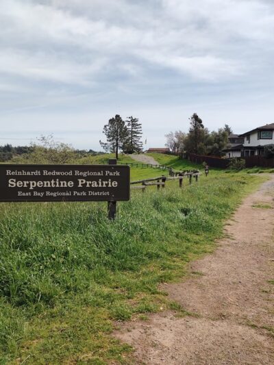 Serpentine Prairie - Oakland, CA
