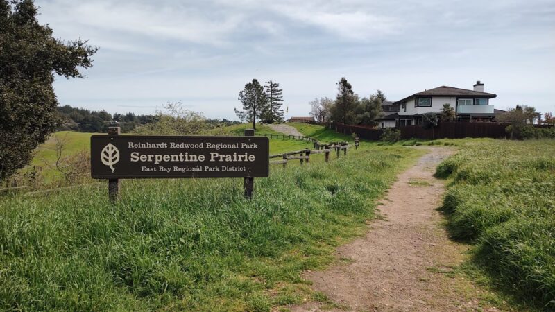 Serpentine Prairie - Oakland, CA