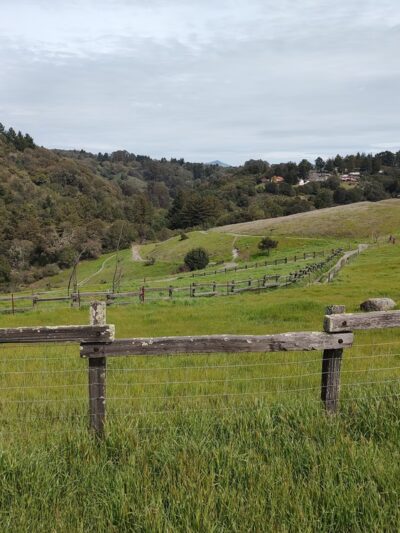 Serpentine Prairie - Oakland, CA