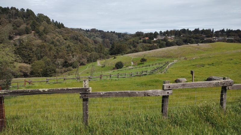 Serpentine Prairie - Oakland, CA