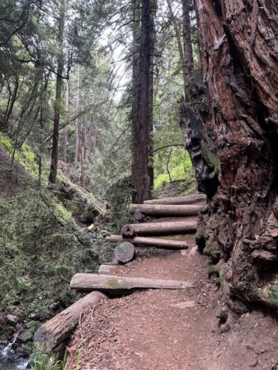York Trail - Oakland, CA