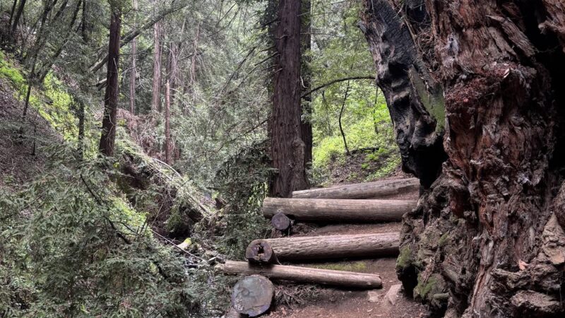 York Trail - Oakland, CA