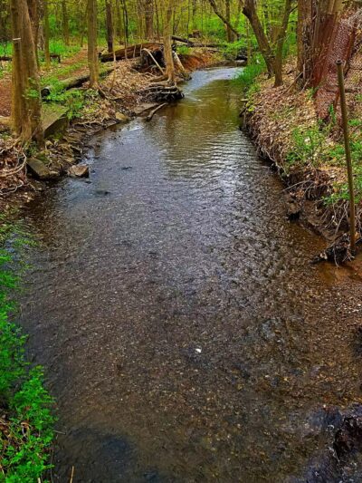 Great Oak Park - Oakland, NJ