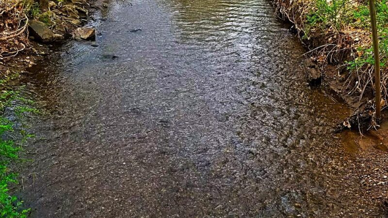 Great Oak Park - Oakland, NJ
