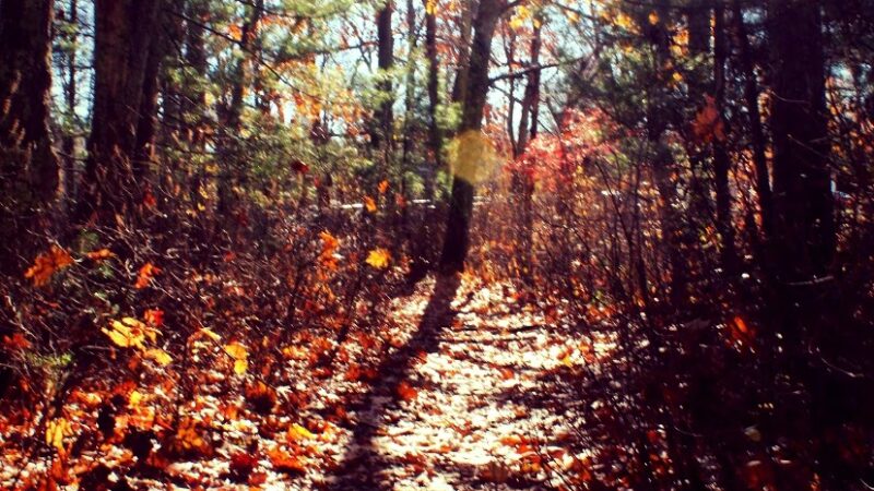 Burrillville Parks & Rec - Oakland, RI