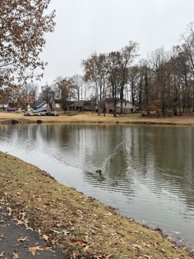 The Oaklands City Park - Oakland, TN