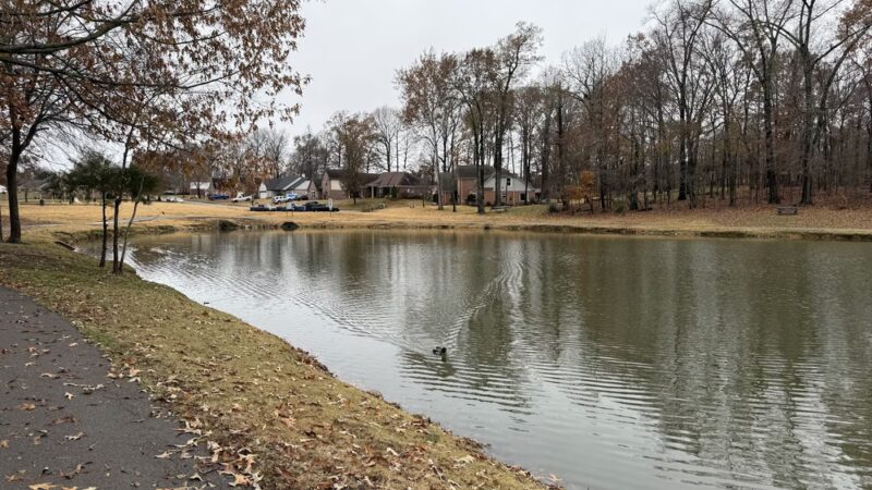 The Oaklands City Park - Oakland, TN