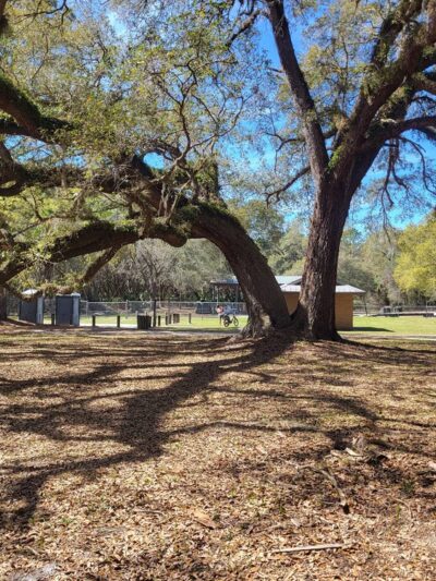 Marshall Greenway - Ocala, FL