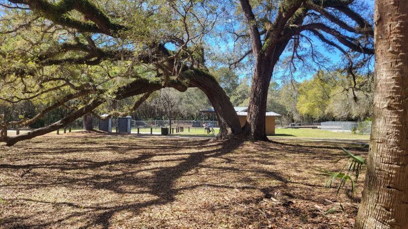 Marshall Greenway - Ocala, FL