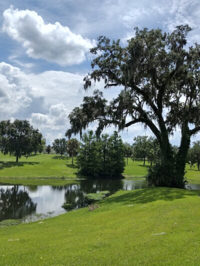 Legacy Park - Ocala, FL