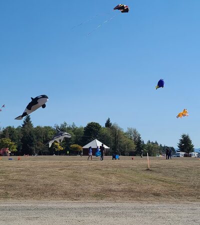 Roy E. Sheldon Park - Ocean Park, WA