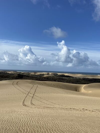 Oceano Dunes OHV Area - Oceano, CA