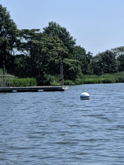 Blackberry Bay Park - Oceanport, NJ