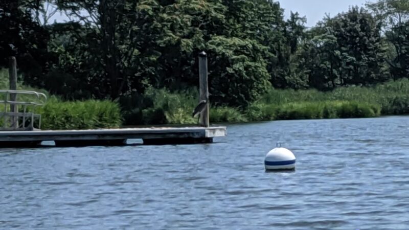 Blackberry Bay Park - Oceanport, NJ