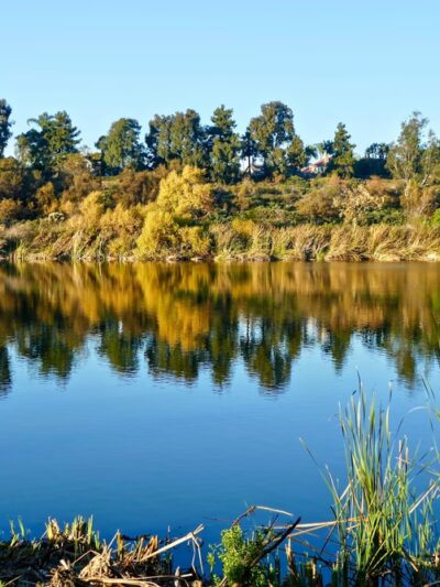 Guajome Regional Park - Oceanside, CA