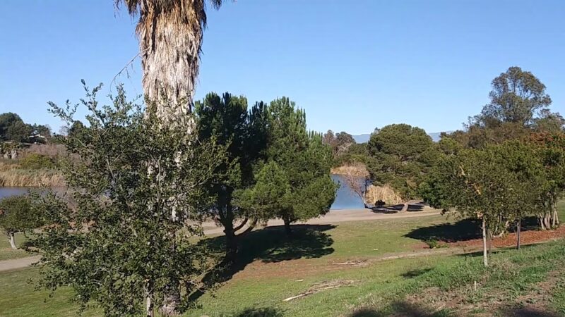Guajome Regional Park - Oceanside, CA