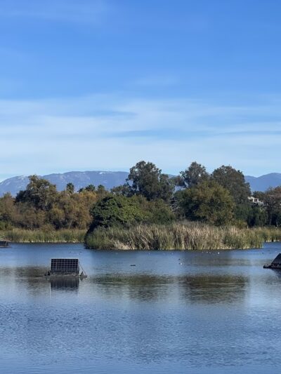 Guajome Regional Park - Oceanside, CA