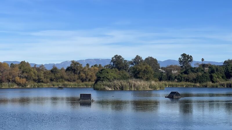 Guajome Regional Park - Oceanside, CA