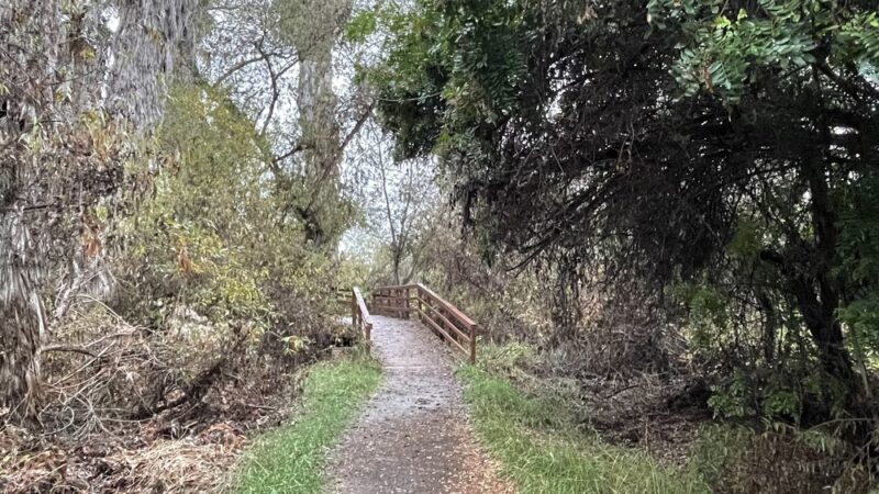 Guajome Regional Park - Oceanside, CA