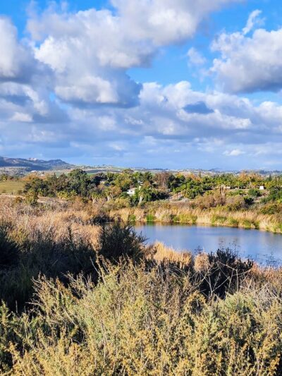 Guajome Regional Park - Oceanside, CA