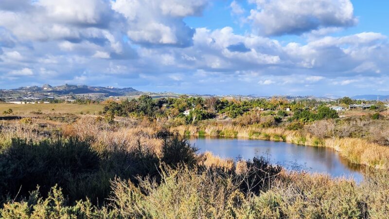 Guajome Regional Park - Oceanside, CA