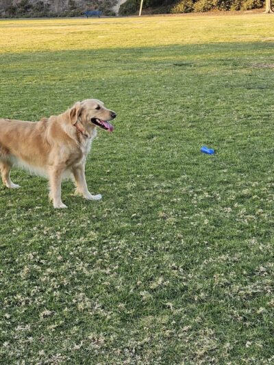 Palisades Park - Oceanside, CA