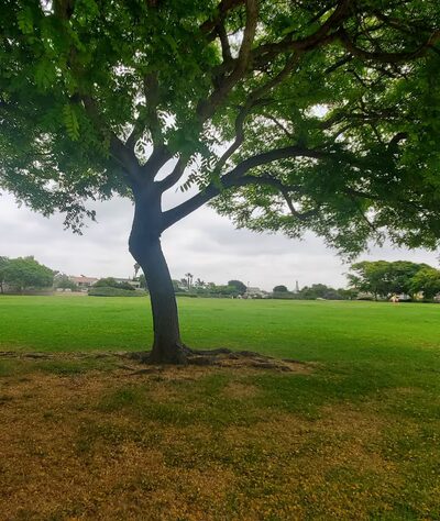 Palisades Park - Oceanside, CA